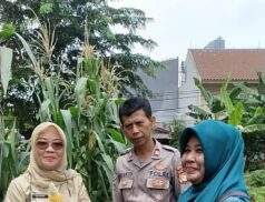 Manfaatkan Lahan Perkotaan, Polsek Kebon Jeruk dan Poktan 53 Bonjer Sukses Panen Perdana