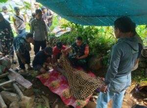 Petani Gula Aren Tewas Jatuh dari Pohon, Polisi Lakukan Evakuasi Cepat