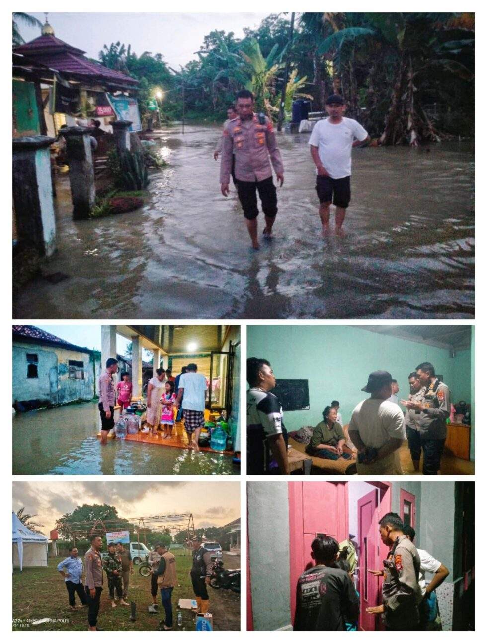 FB_IMG_1769298556271