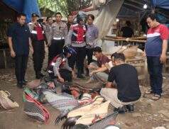 Polresta Tangerang Gerebek Judi Sabung Ayam di Jayanti, Dua Orang dan 28 Unit Motor Diamankan