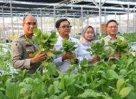 Polda Metro Jaya Bersama Polres Jakbar Panen Sawi Hidroponik dan Ikan untuk Ribuan Penerima Manfaat SPBG Palmerah