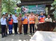 Indocement Kurban 204 Hewan, Warga Citeureup-Cirebon-Tarjun Rasakan Manfaatnya