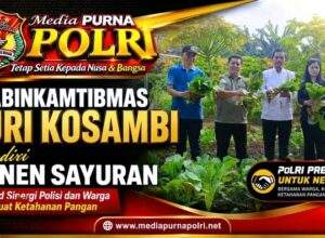 Panen Sawi, Terong, dan Kangkung di Duri Kosambi, Kebersamaan Warga dan Polisi Dukung Ketahanan Pangan