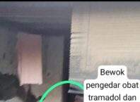 Diduga yang Sering Dipanggil Bewok penjual Obat Tramadol Dan Eximer Dicikabon kembali Mengedarkan Obat ilegal