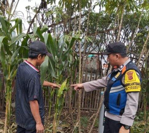 Bhabinkamtibmas Kelurahan Babakan Laksanakan Kegiatan Monitoring Program Buruan SAE Cempaka 10