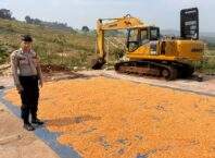 Polrestabes Bandung Dukung Program Ketahanan Pangan Pemerintah Melalui Monitoring Panen Jagung
