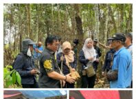 “Guncang! Majelis Hakim PTUN Banjarmasin Temukan Fakta Mengejutkan: Lahan Sengketa di Kotabaru Dikuasai Warga Sejak 1979, Deretan SHM Diduga Manipulatif