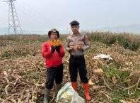 Polrestabes Bandung Laksanakan Pemantauan Pasca Panen Jagung untuk Mendukung Ketahanan Pangan