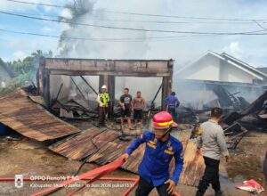 Kebakaran Hanguskan Apotek Gian dan Toko Manisan Wak Lapuk di Simpang Tiga Tempino, Tidak Ada Korban Jiwa