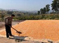 Polrestabes Bandung Monitoring Proses Pasca Panen Jagung Dukung Ketahanan Pangan Nasional