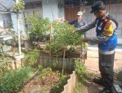 Bhabinkamtibmas Pasir Biru Monitoring Program Ketahanan Pangan di Buruan Sae