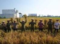 Pangdam IV/Diponegoro Dukung Panen Raya TNI, Perkuat Ketahanan Pangan Nasional