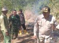 Api Hanguskan 15 Hektare Lahan Sawit PT Condong Garut, Polisi Bersama Damkar Lakukan Upaya Pemadaman