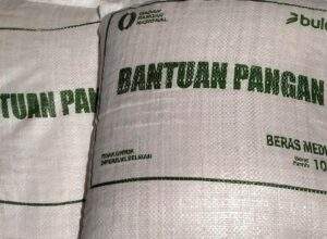 Lurah Cemara Lubuk Pakam Arynaldi Harahap, S.STP., M.M. Bungkam Lalu Menjawab Lengkap, Logika Data Justru Tunjuk Tanggung Jawab Lokal