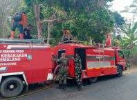 Sinergi Babinsa Dan Warga Bergerak Cepat Atasi Kebakaran Lahan Bambu di Mandiraja