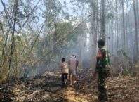 Kebakaran Lahan Seluas 3 Hektare di Dusun Priagung Kota Banjar Berhasil Dipadamkan