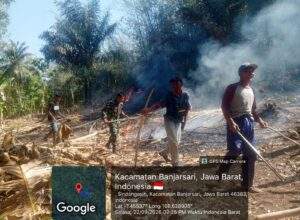 Kebakaran Lahan Seluas 5 Hektare di Banjarsari Ciamis Berhasil Dipadamkan