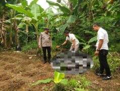 Pamapta Polres Singkawang Bersama Tim Identifikasi Tangani Penemuan Mayat di Lahan Kebun