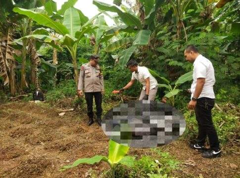 Pamapta Polres Singkawang Bersama Tim Identifikasi Tangani Penemuan Mayat di Lahan Kebun