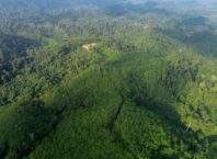 Di Balik Label Energi Terbarukan, LTB Soroti Deforestasi dan Ancaman Ruang Hidup dari Konsesi PT HAN di Jambi