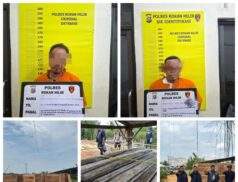Polsek Sinaboi Polres Rokan Hilir Rohil Amankan 2 Orang Pemain Illegalloging di Sinaboi