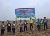 Penanaman Jagung PAT Seluas 10 Hektare di Jawilan Dukung Ketahanan Pangan