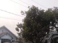 Kebakaran Lahan Kosong Terjadi di RT 18 Lorong Tridadi Satu, Sumber Api Belum Diketahui