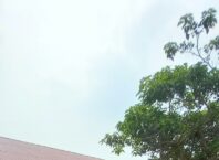 Proyek Revitalisasi TK Negri Pembina Bangko Jadi Sorotan, Dugaan Ketidaksesuaian Teknis Perlu Diklarifikasi