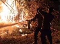 Cegah Api Meluas, Polisi Bantu Damkar Padamkan Kebakaran Kebun Bambu