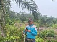Isu Dugaan Kehilangan Kabel PLN di Parit 9, Pemdes Sungai Junjangan Tegaskan tidak Ada Laporan Masuk ke Kantor Desa
