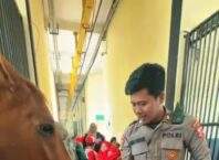 Ceria dan Edukatif! Polisi Satwa Korsabhara Polri Kenalkan K-9 dan Kuda Turangga ke Anak-Anak TK Islam Amaryllis